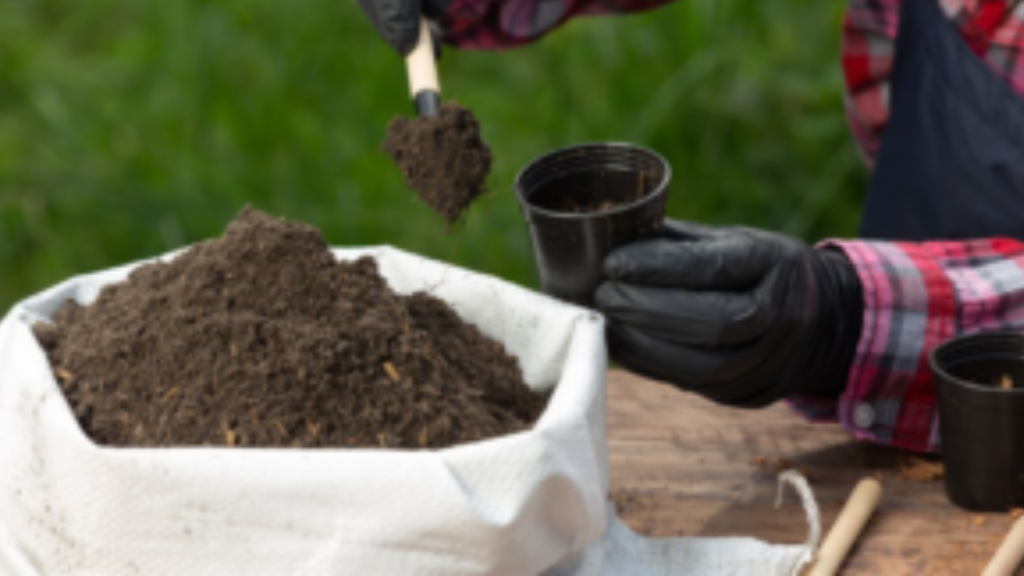 Someone is putting soil and fertilizer in small black pots