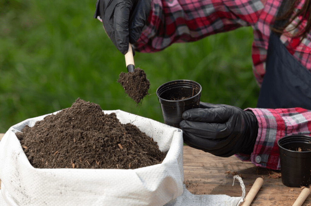 Someone is putting soil and fertilizer in small black pots