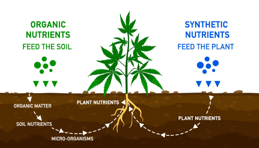 organic nutrients vs synthetic nutrients of fertilizing method