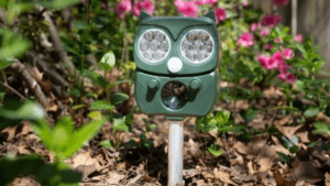 motion sensor garden light