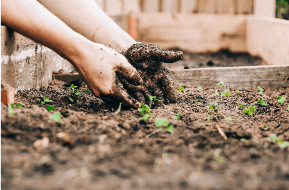 preparing for planting