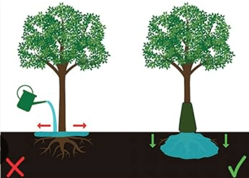 tree watering ring