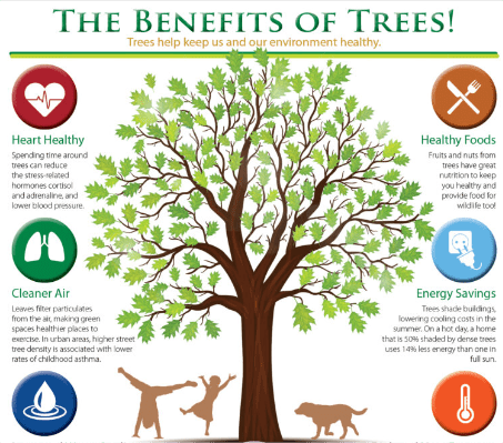 benefit of trees