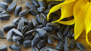 Sunflower seeds and flower