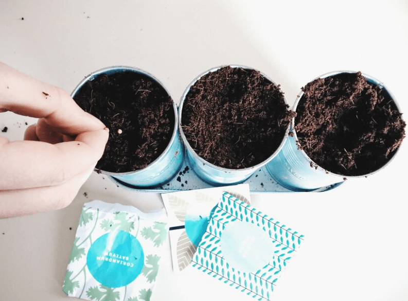 soil and fertilizer on 3 pots and some one is putting seeds