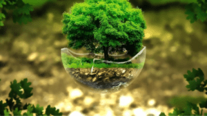 tree watering ring