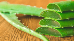 Close up of Aloe vera on wooden table background