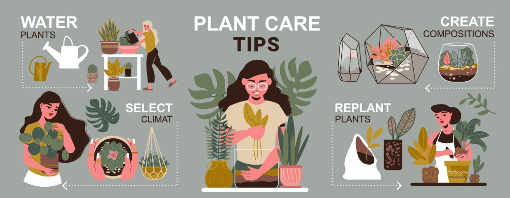 Cultivation and Care Tips