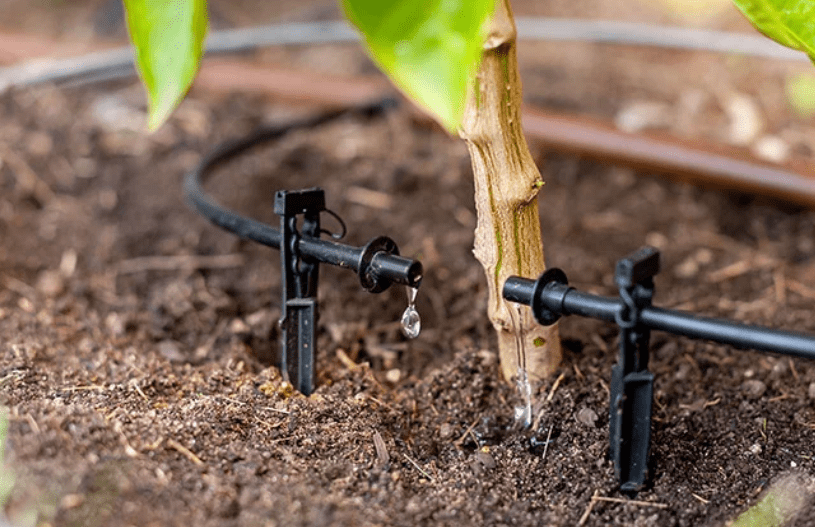 Drip Irrigation Systems