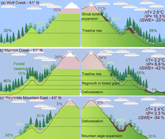 Effects on Soil and Nearby Vegetation