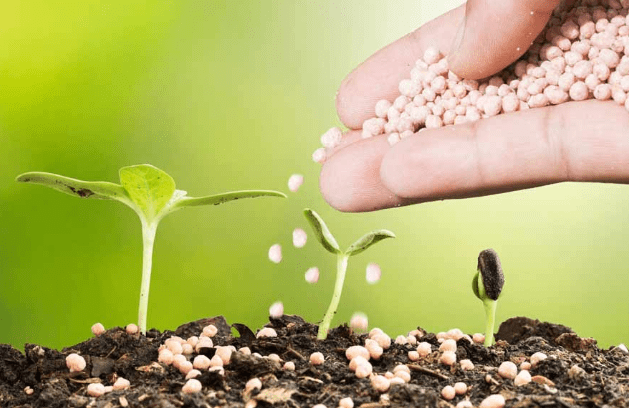 Fertilization and Nutrient Management