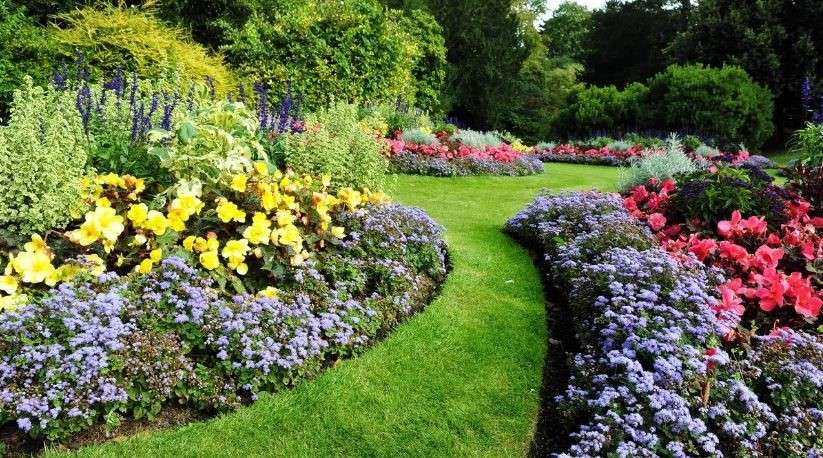 Beautiful Garden Flowers