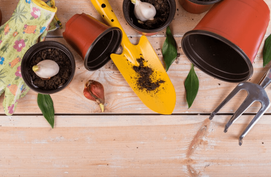 Still life with gardening objects