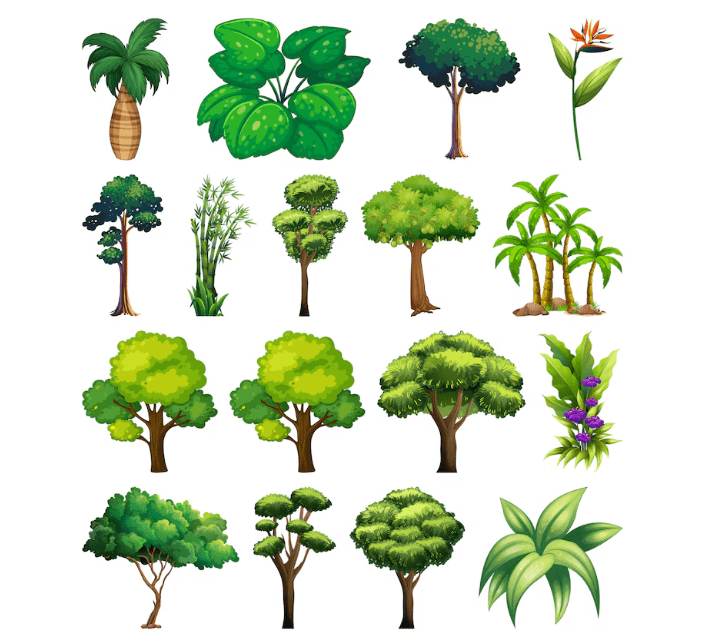 Set of variety plants and trees