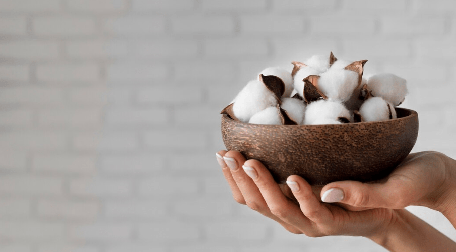 Preparing Cotton Plant Seeds for Planting 