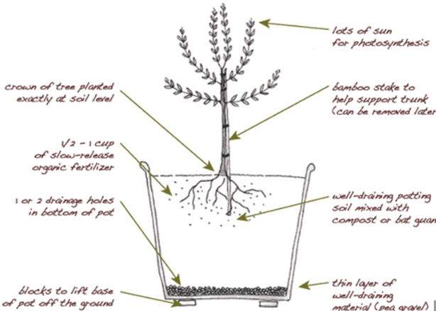 Preparing for Planting 