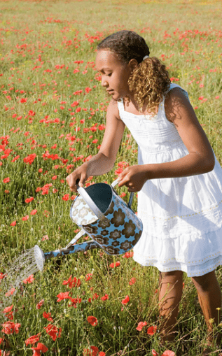 Caring for Poppy Seedlings