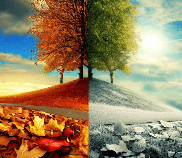 Photo a autumn leaves nature background