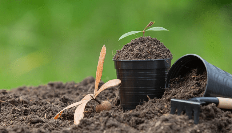 Soil Preparation