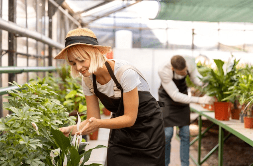 People taking care of plants medium shot