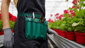 Woman florist in apron and belt with pockets for an garden tools in the greenhouse