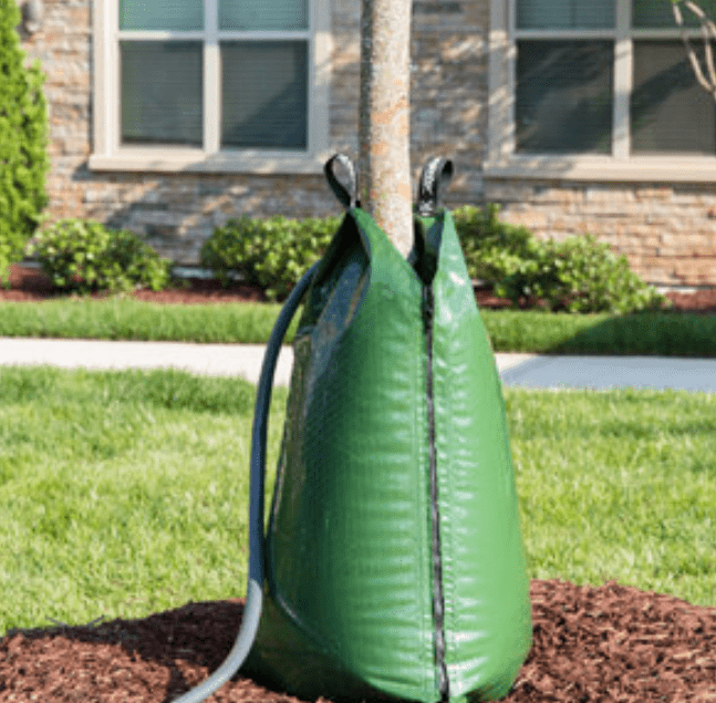 Tree Watering Bags