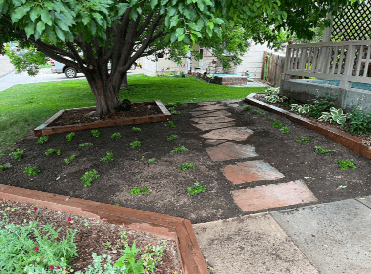 Using Mulch and Ground Covers