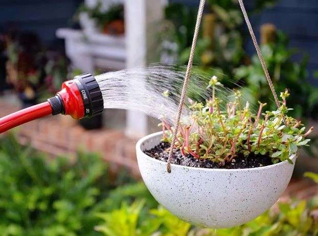 Watering Kit