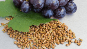 Grape Seeds for Planting