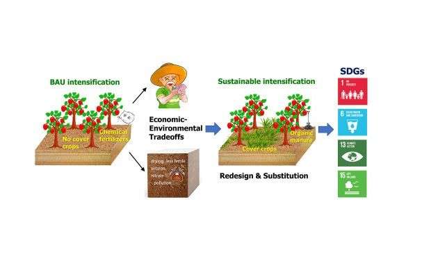 Sustainability and Environmental Benefits