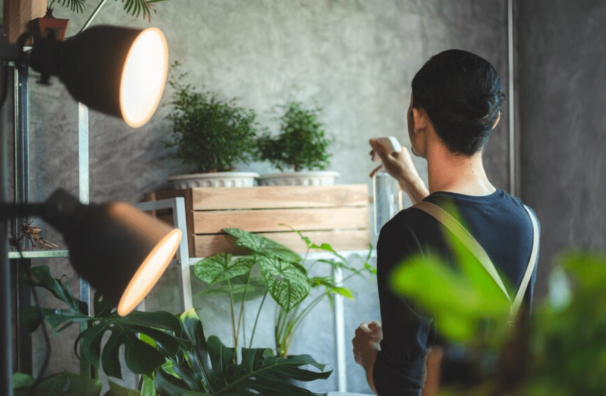 Young Asian man are happy with growing plant in small green garden at home 