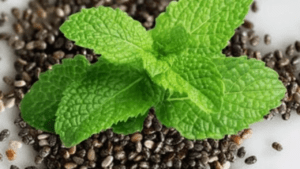 peppermint plant seeds