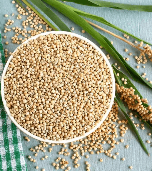 Benefits of Growing Sorghum from Seeds