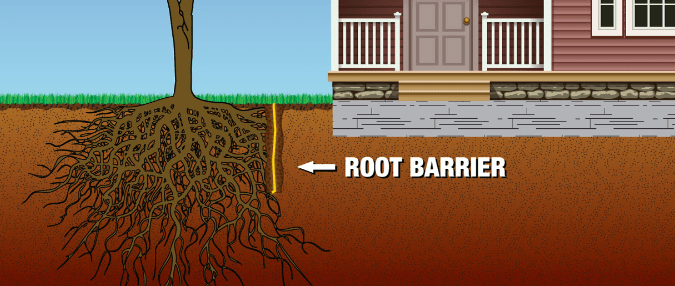 Benefits of Root Barriers for Trees