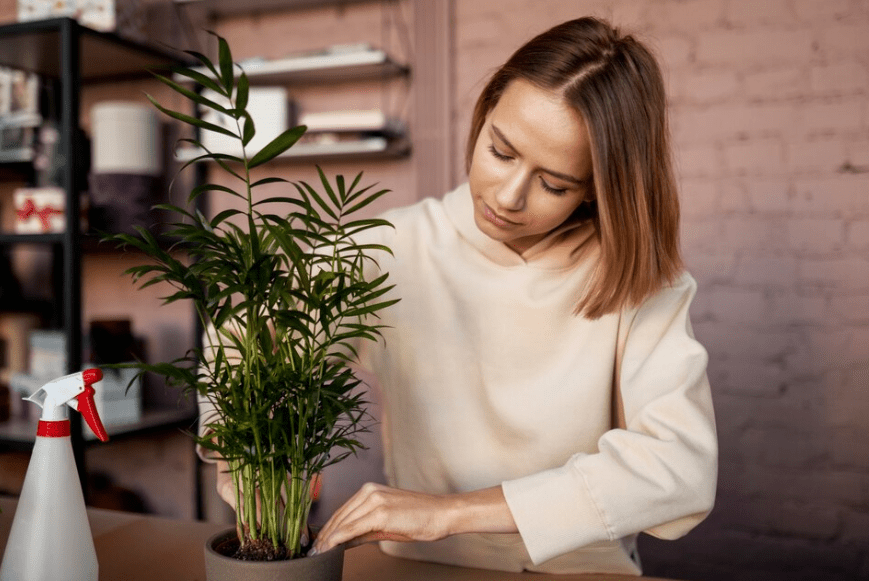 Care and Maintenance of Bamboo Faux Plants