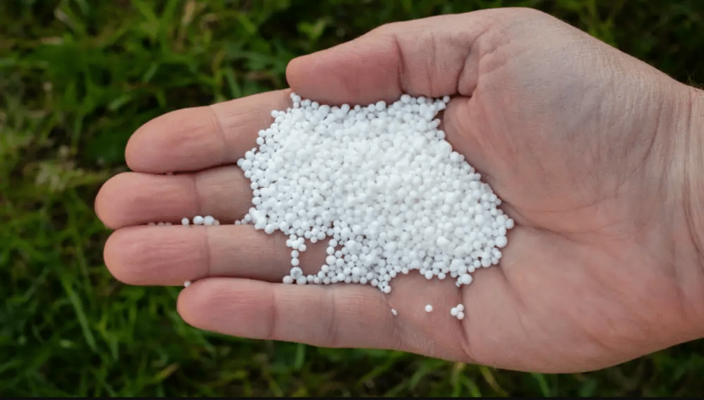 Granular Fertilizer on hand