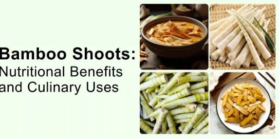 Culinary Uses of Bamboo Shoots