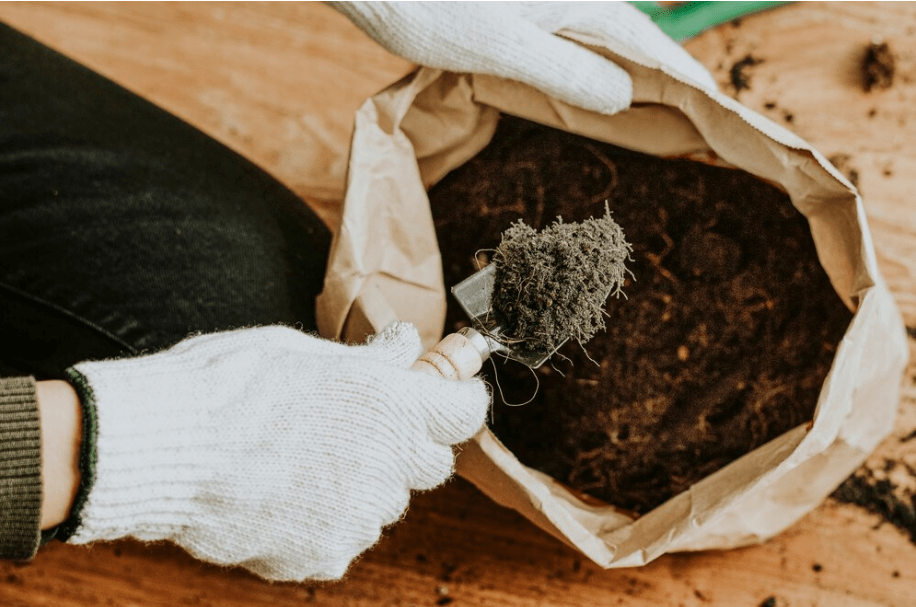 Organic Fertilizers in the spoon and bag