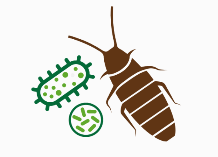 Pests and Diseases