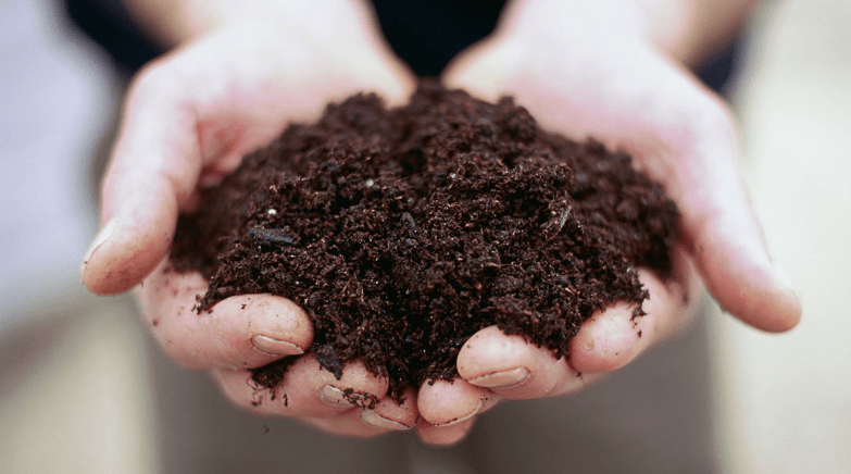 Preparing the Soil