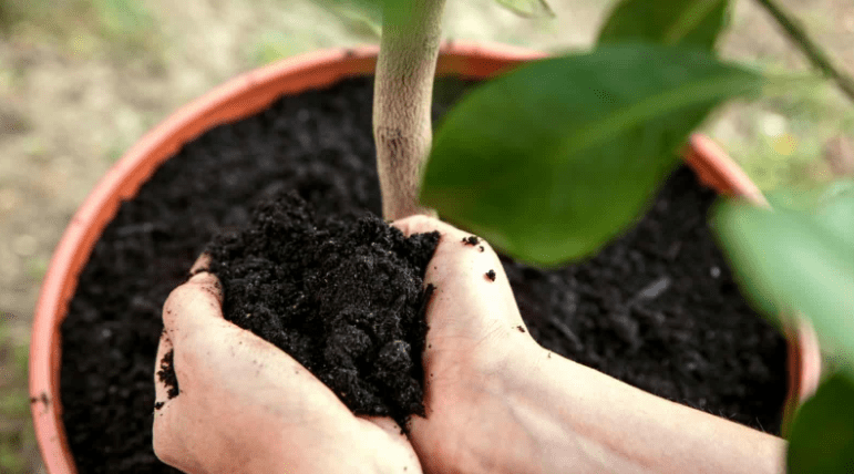 Soil preparation