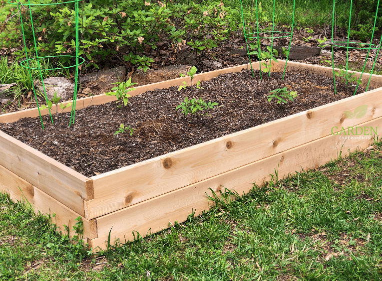 Preparing Garden Bed 