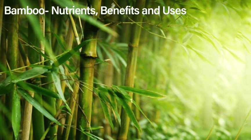 Bamboo and Human Health