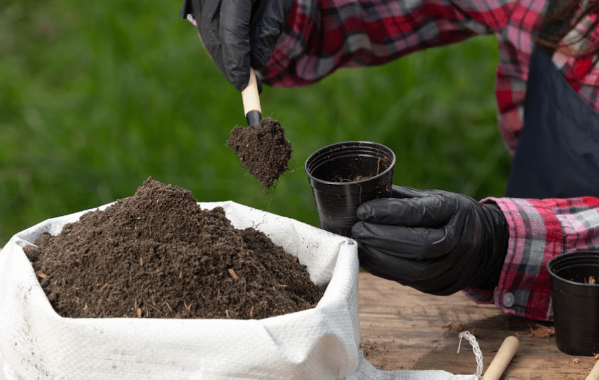 Selecting and preparing the soil