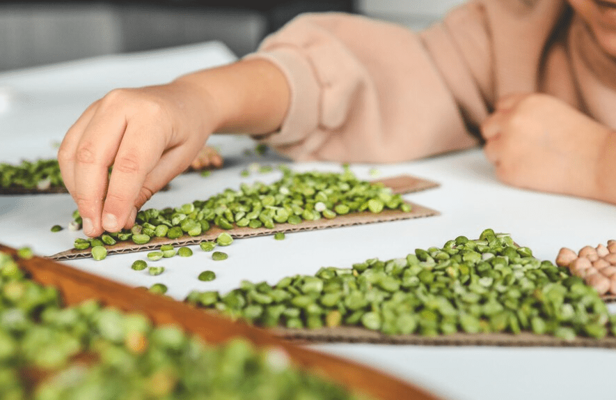 Selecting the Right Wasabi Plant Seeds