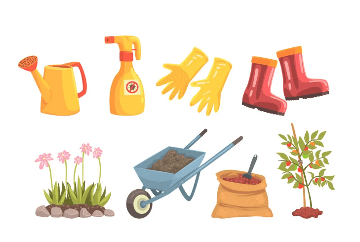 Tools and materials needed for planting