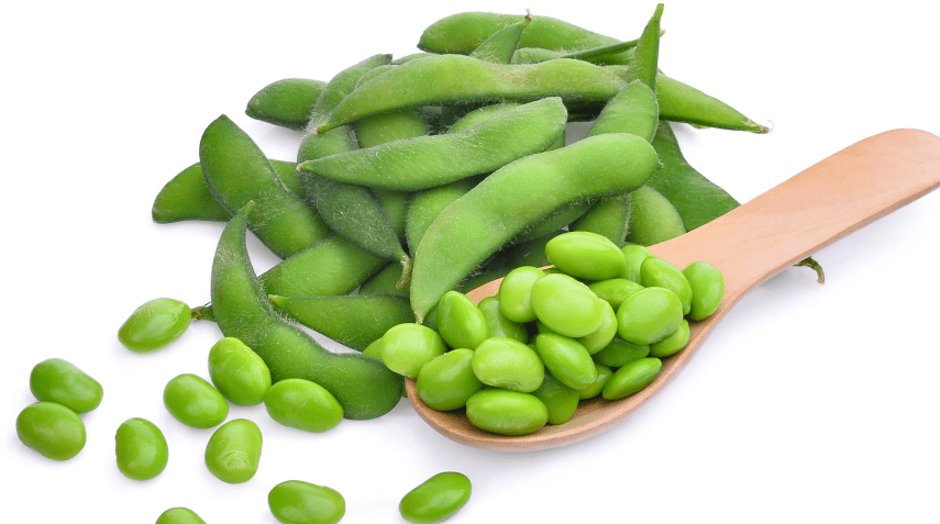 Understanding Edamame