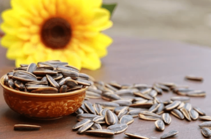 Understanding Flower Seed Planters