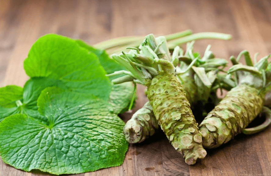 Understanding Wasabi Plants