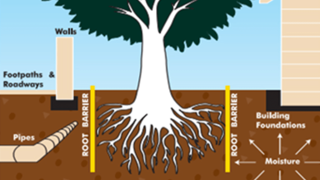 root barrier for trees